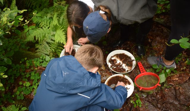 Letní přírodovědný tábor Klubu NATURA